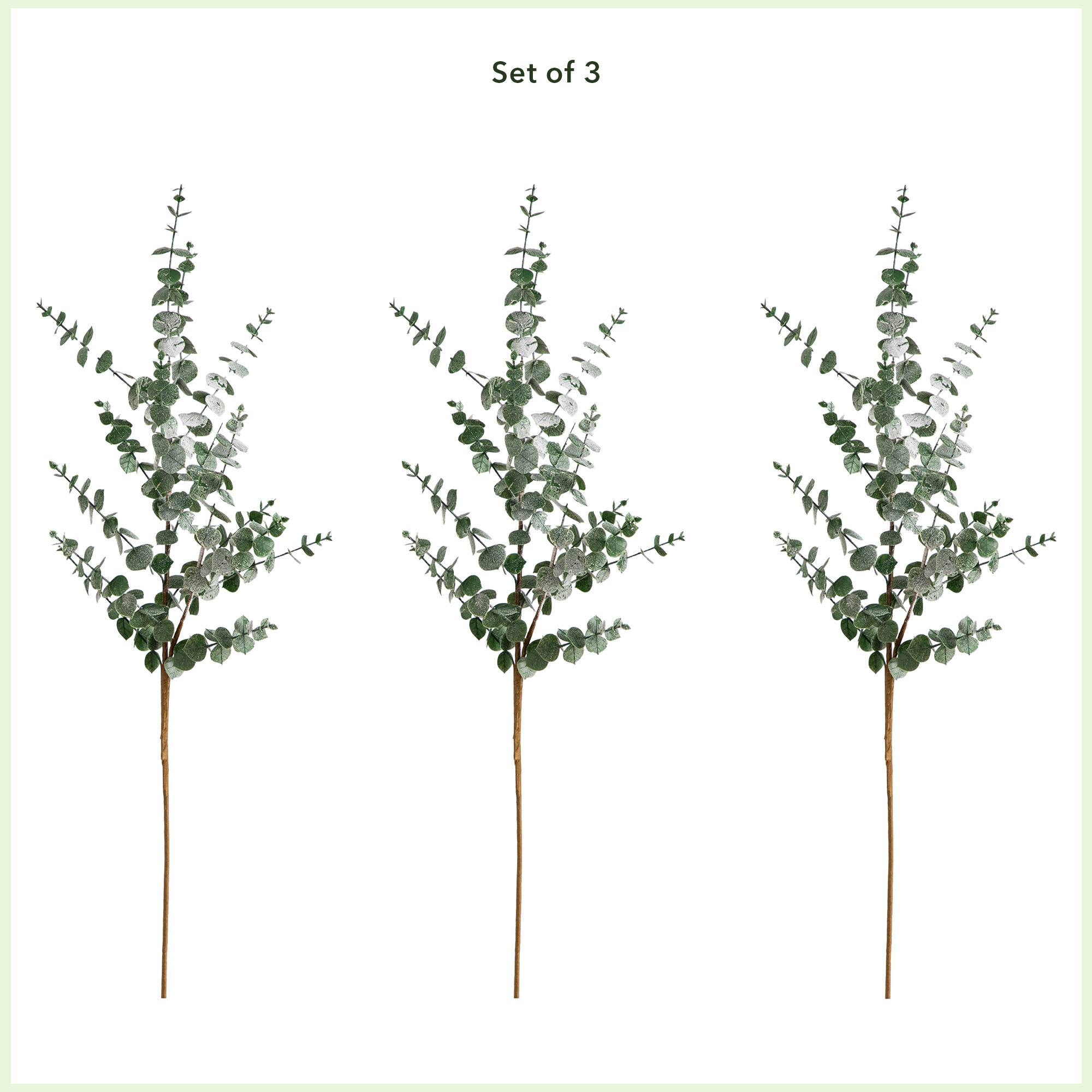 40" Green Eucalyptus Stems, 3ct.